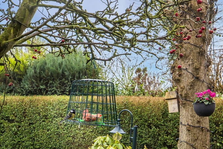 Foto 25 van Voordorpsedijk 53