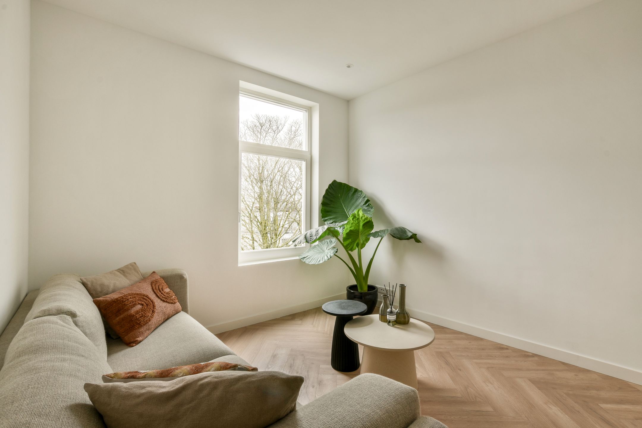 Foto 3 van Van Ostadestraat 166-4A