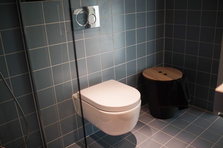 Foto 7 van Maassluisstraat 256-L