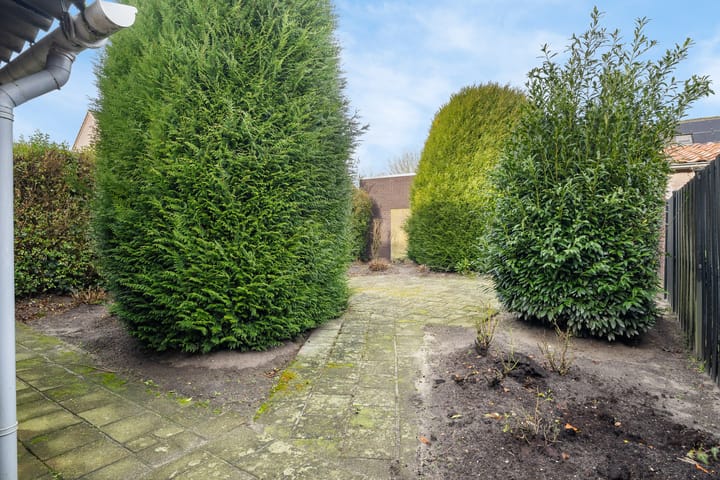 Foto 13 van Lupinestraat 10