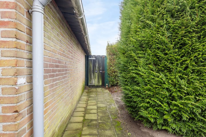 Foto 15 van Lupinestraat 10