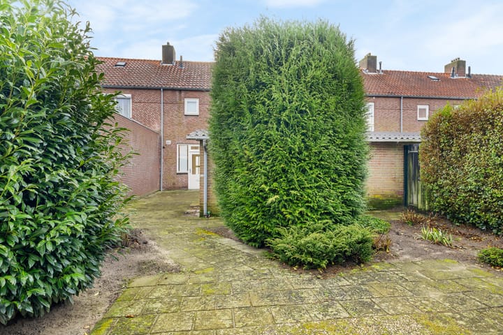 Foto 16 van Lupinestraat 10