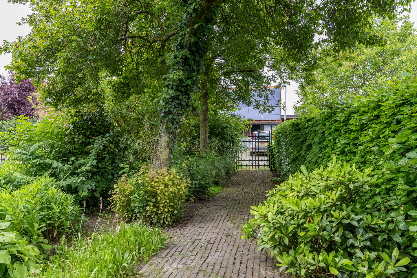 Foto 49 van Scharenburgsestraat 7