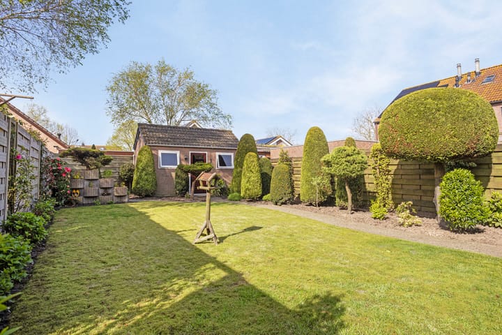 Foto 3 van Clematis 36