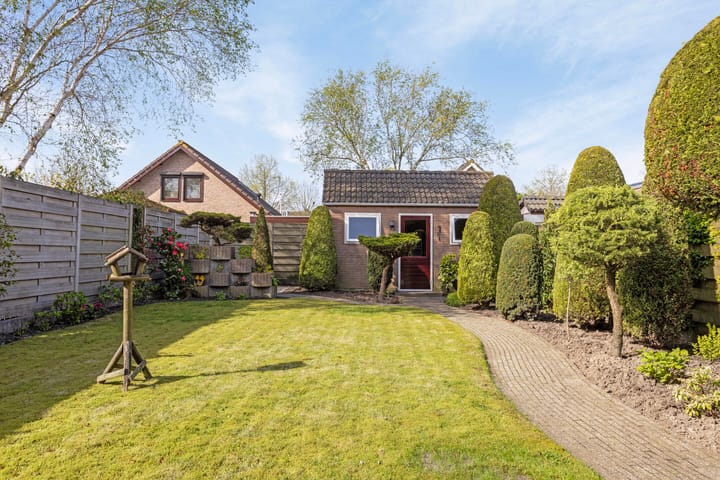 Foto 26 van Clematis 36