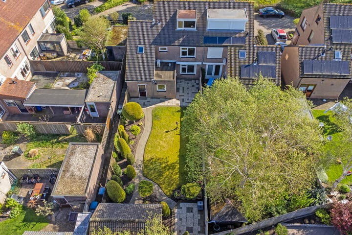 Foto 28 van Clematis 36