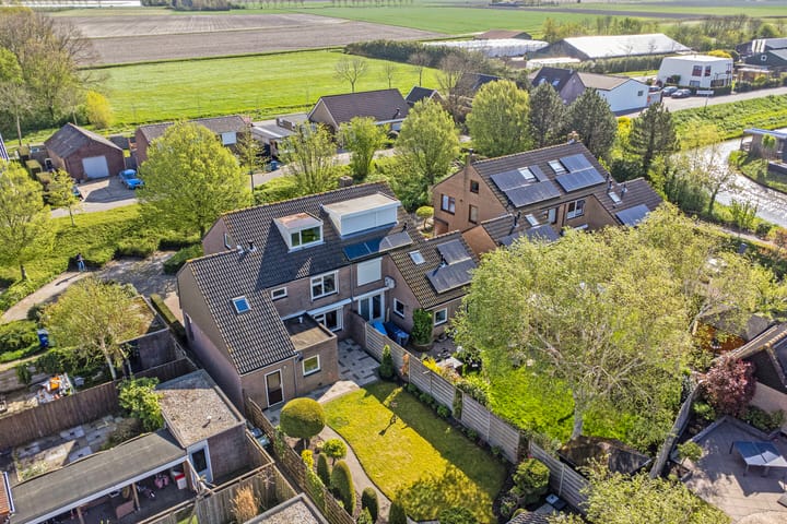 Foto 29 van Clematis 36