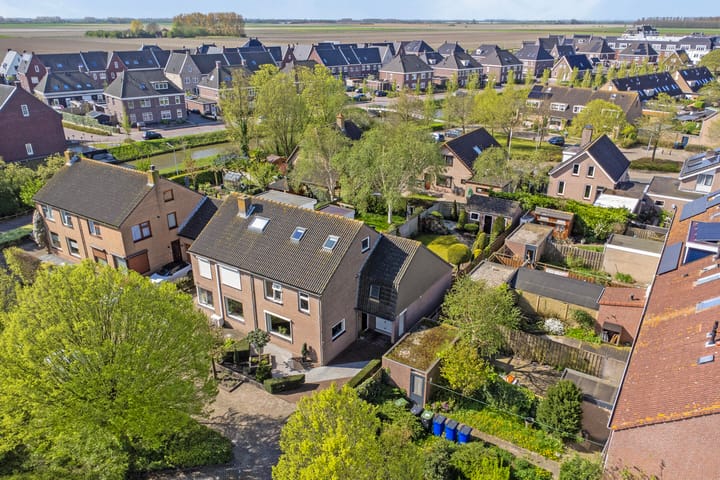 Foto 30 van Clematis 36