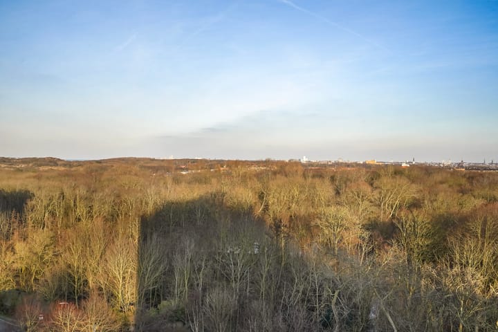 Photo 13 of Heliotrooplaan 334