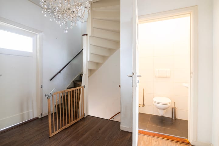 Foto 5 van Zuidvliet 152-B