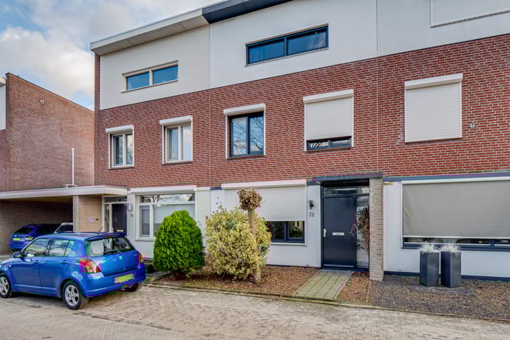 Foto 2 van Penningkruid 72