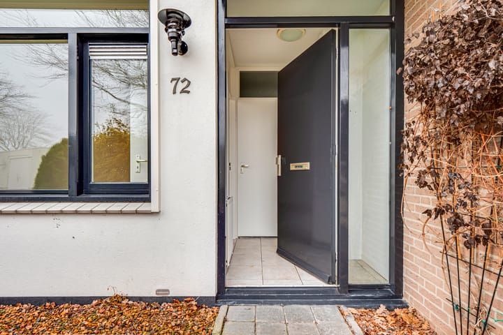 Foto 3 van Penningkruid 72