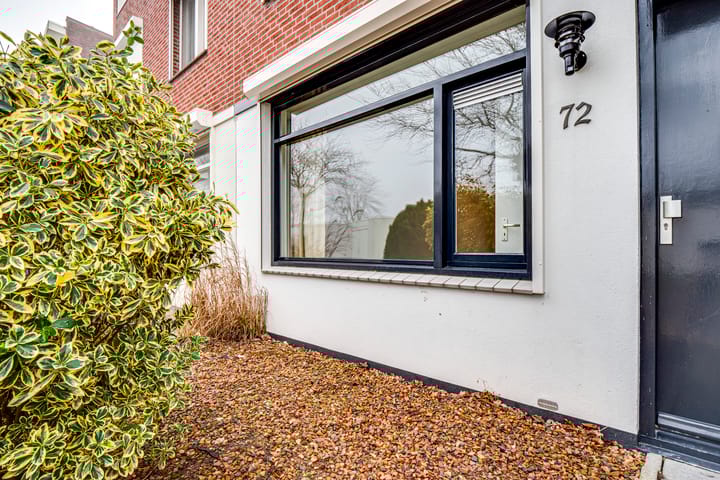 Foto 4 van Penningkruid 72