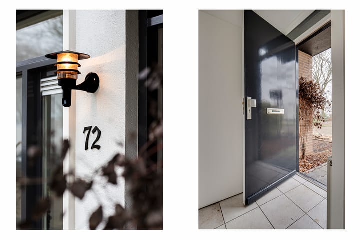 Foto 5 van Penningkruid 72