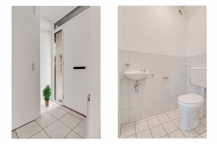 Foto 6 van Penningkruid 72