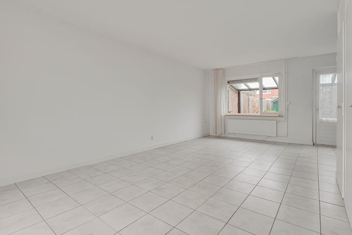 Foto 8 van Penningkruid 72