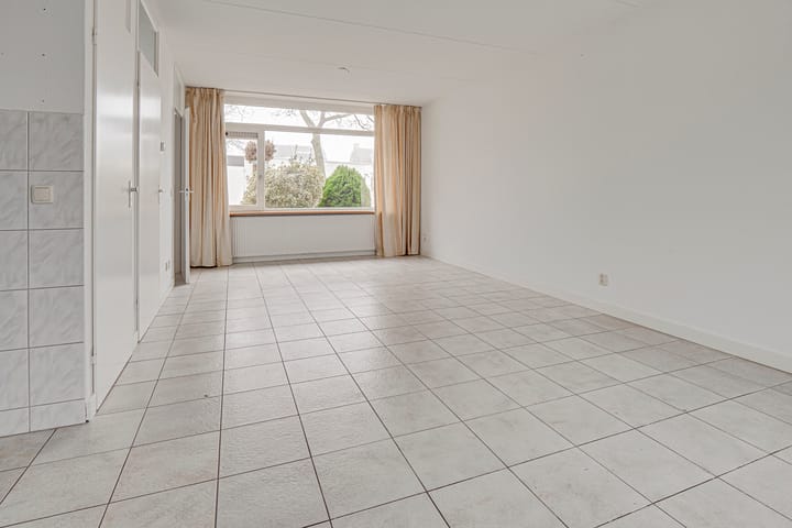 Foto 10 van Penningkruid 72