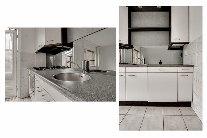 Foto 15 van Penningkruid 72