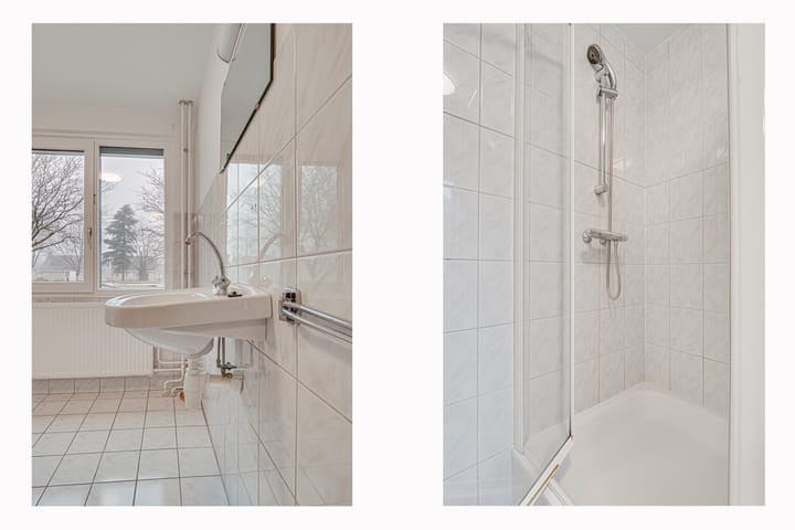 Foto 22 van Penningkruid 72