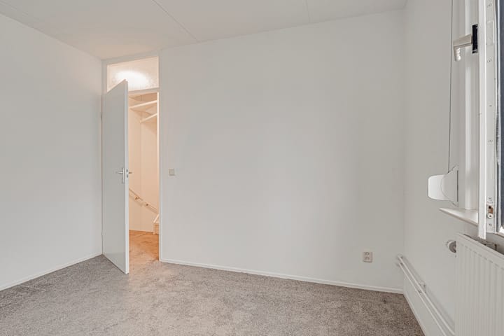 Foto 24 van Penningkruid 72