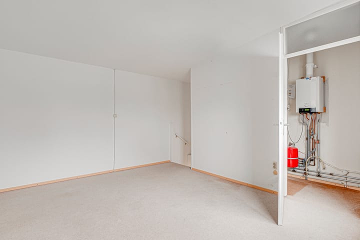 Foto 30 van Penningkruid 72