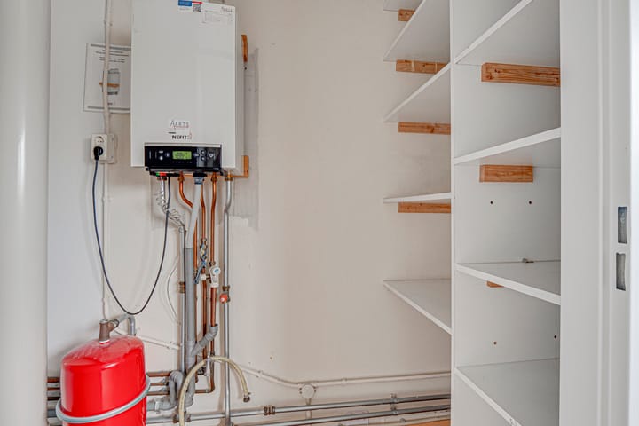 Foto 31 van Penningkruid 72