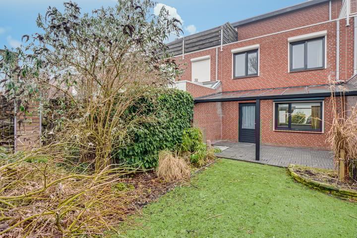 Foto 32 van Penningkruid 72