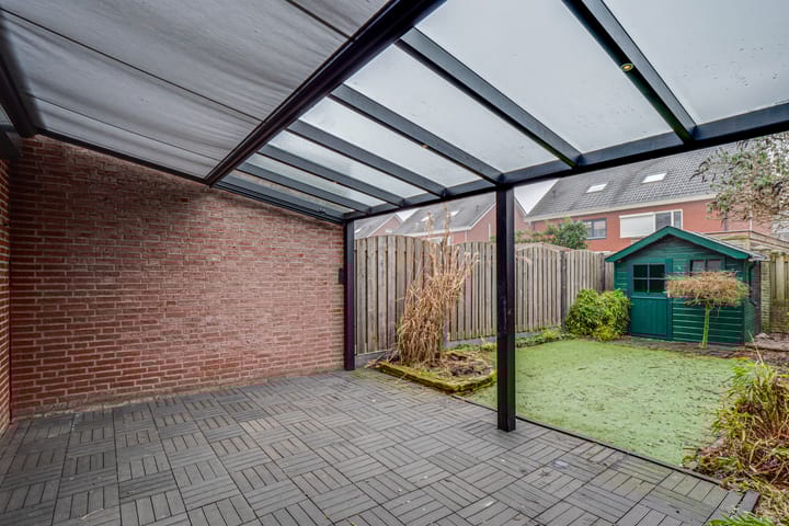 Foto 36 van Penningkruid 72