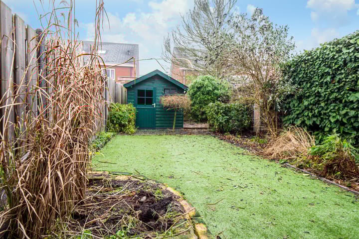 Foto 37 van Penningkruid 72