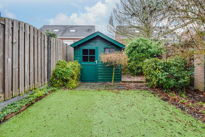 Foto 38 van Penningkruid 72