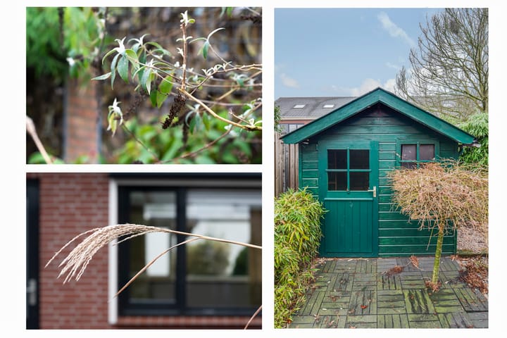 Foto 39 van Penningkruid 72