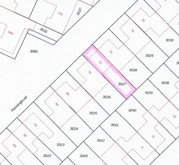 Foto 44 van Penningkruid 72