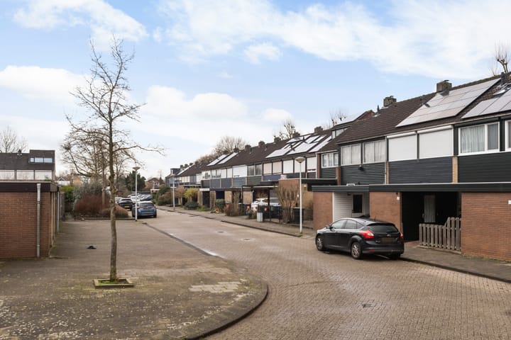 Foto 5 van Groen v Prinstererstraat 55