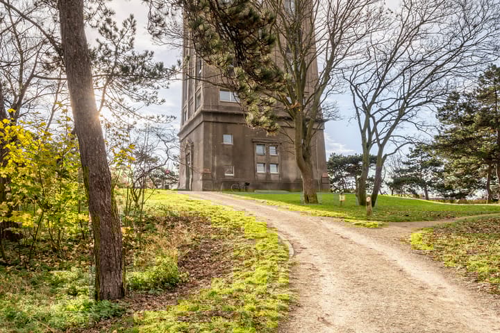 Foto 3 van Watertorenpad 19