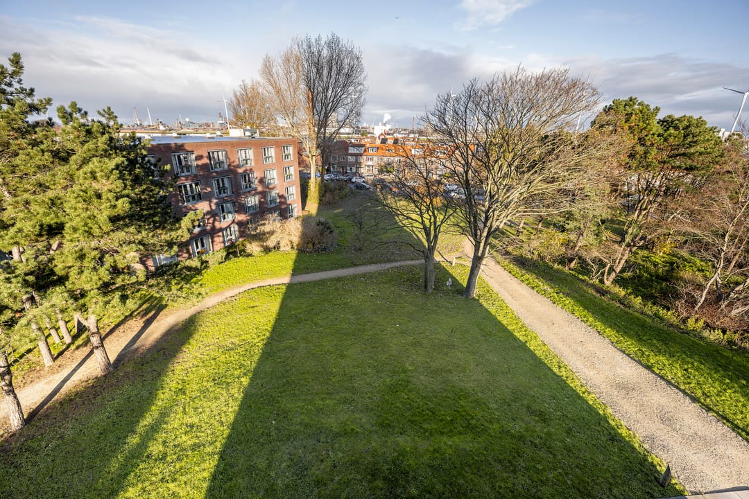 Photo 8 of Watertorenpad 19