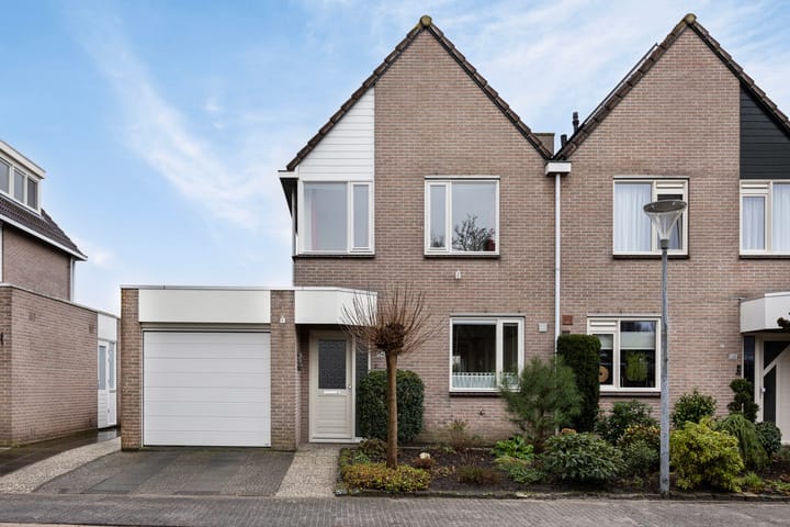 Foto 10 van Fonteinkruid 134