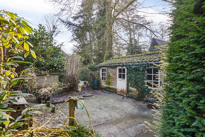 Foto 48 van van Lyndenlaan 9