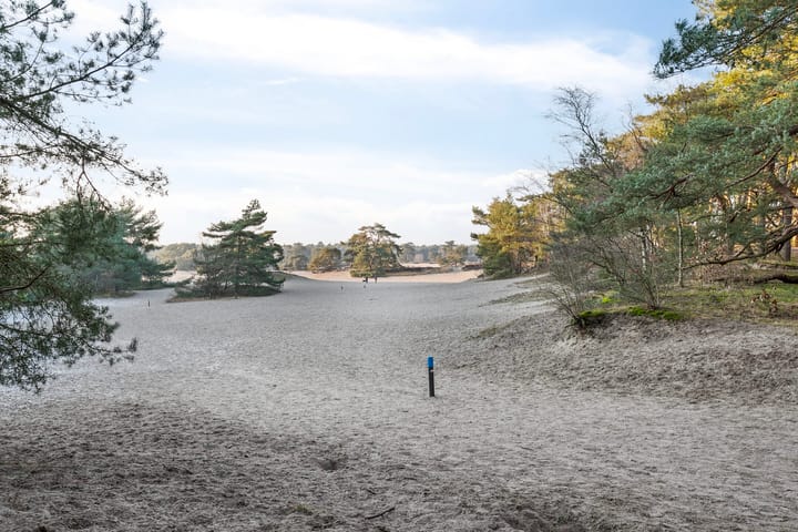 Foto 51 van van Lyndenlaan 9