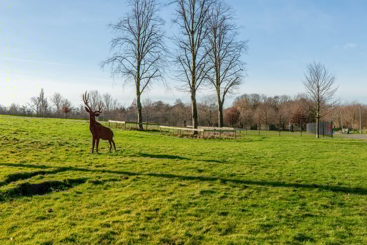 Foto 35 van Van der Duijn van Maasdamweg 586