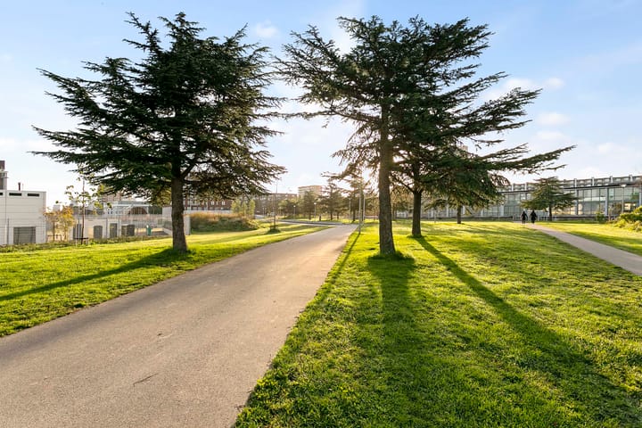 Foto 23 van Tripstraat 123