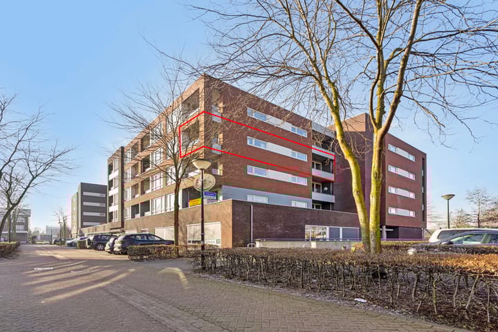 undefined main image