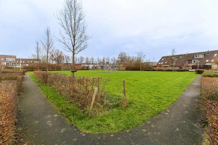 Foto 51 van Bunuelstrook 87