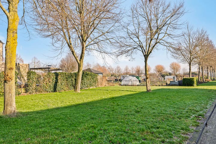 Foto 43 van Rijdergulden 1