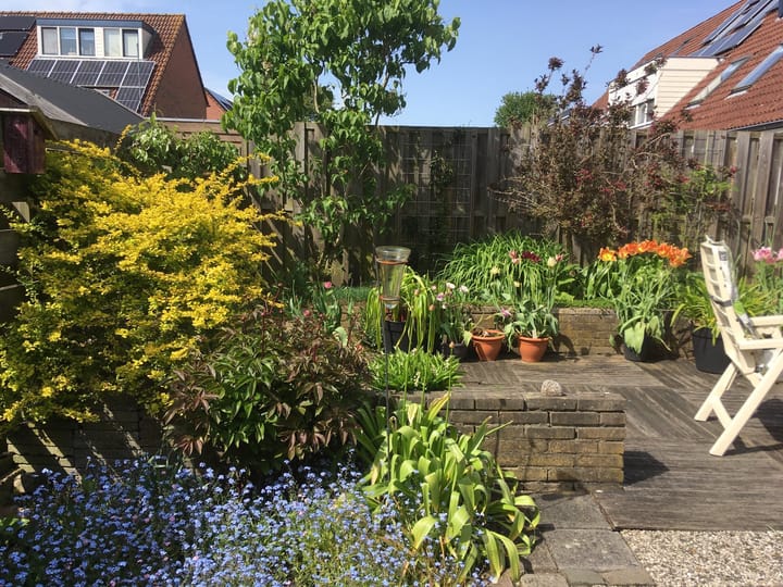 Foto 24 van Vecht 30