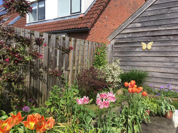 Foto 26 van Vecht 30