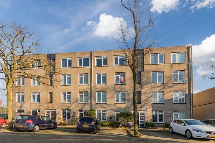 Foto 1 van Ridderspoor 116