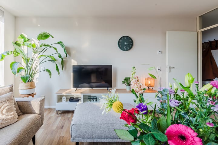 Foto 6 van Ridderspoor 116