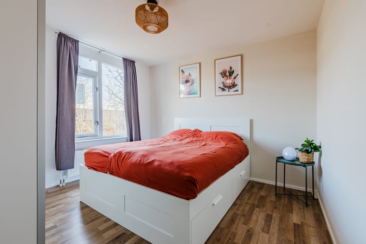 Foto 9 van Ridderspoor 116