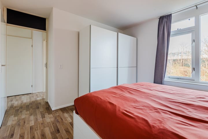 Foto 10 van Ridderspoor 116