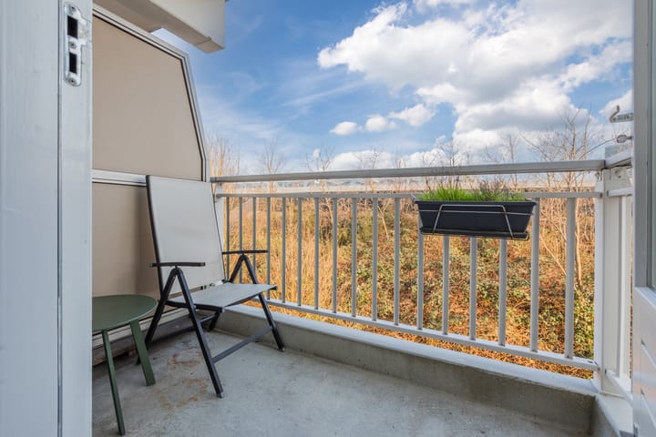 Foto 14 van Ridderspoor 116